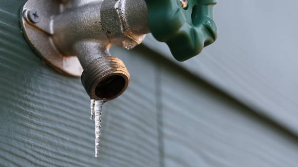Best Shower Repair Services  in Wellford, SC